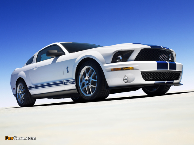 Shelby GT500 2005–08 pictures (640 x 480)