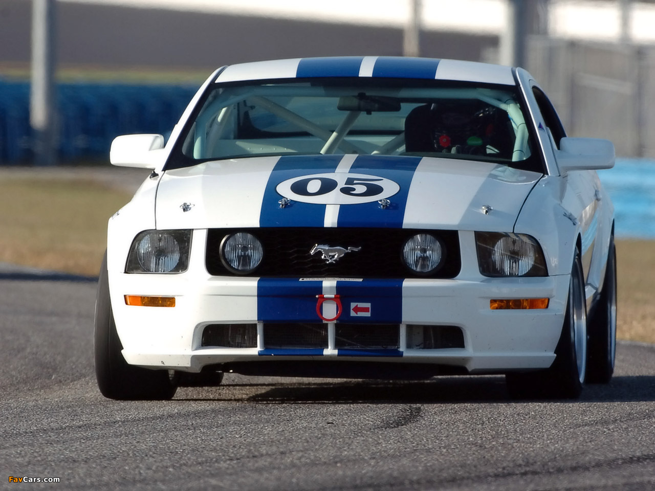 Mustang Race Car 2005–09 pictures (1280 x 960)