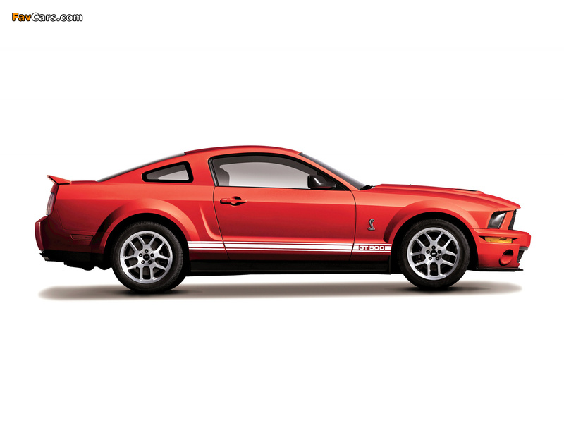 Shelby GT500 2005–08 pictures (800 x 600)