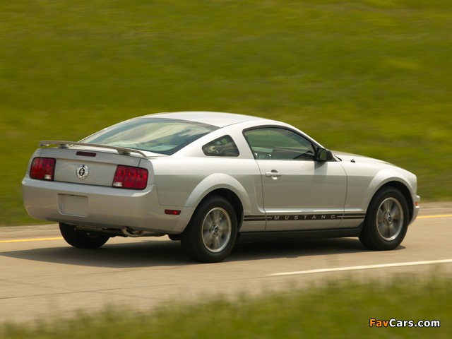 Mustang Coupe 2005–08 pictures (640 x 480)