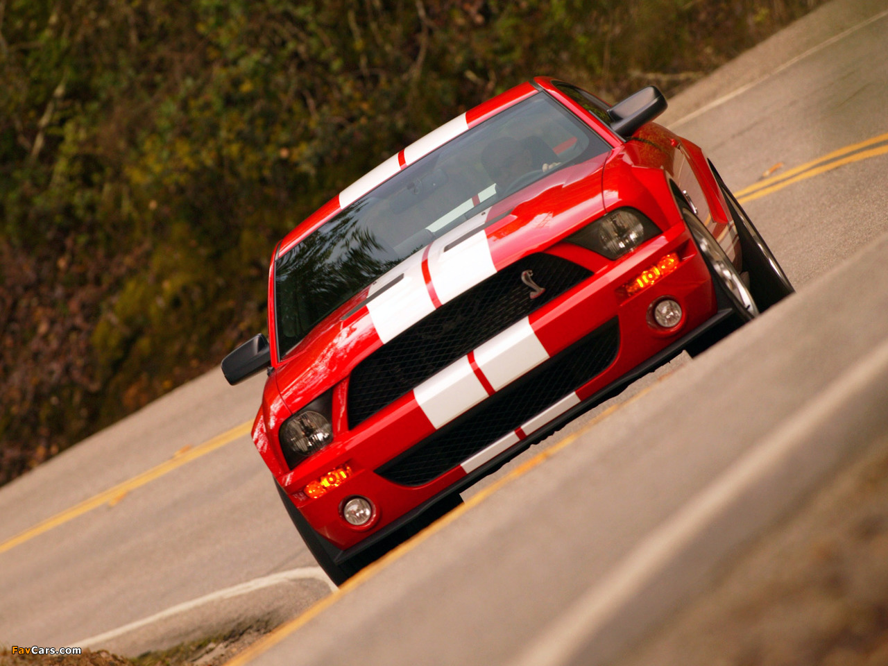 Shelby GT500 2005–08 wallpapers (1280 x 960)