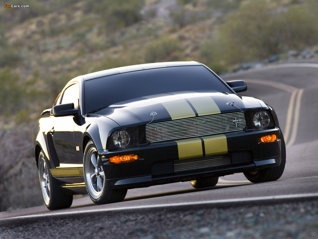 Shelby GT-H 2006 images (1280 x 960)