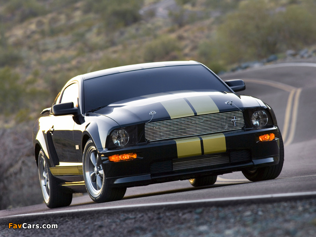 Shelby GT-H 2006 images (640 x 480)