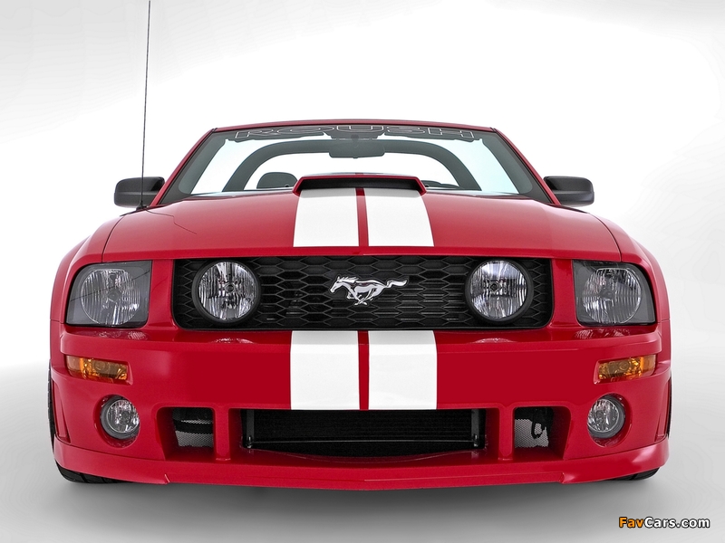 Roush Stage 3 Roadster 2006–09 photos (800 x 600)