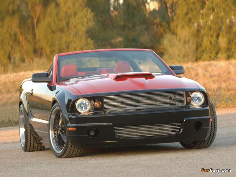 Foose Design Mustang Stallion Convertible 2006 pictures (800 x 600)