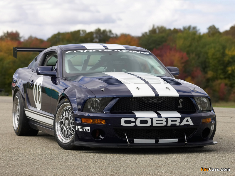 Mustang FR500 GT 2006 wallpapers (800 x 600)