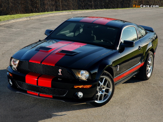 Shelby GT500 Red Stripe Appearance Package 2007 photos (640 x 480)