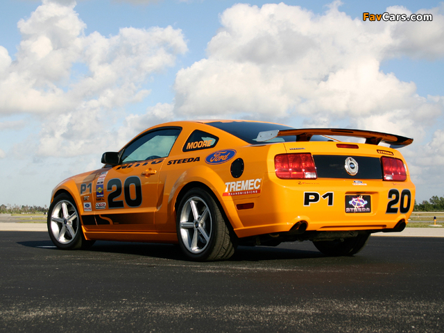 Steeda Q335 Club Racer 2007 pictures (640 x 480)