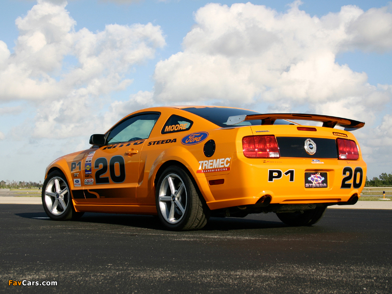 Steeda Q335 Club Racer 2007 pictures (800 x 600)