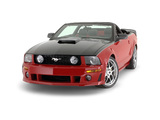 Roush Roadster 2007 pictures