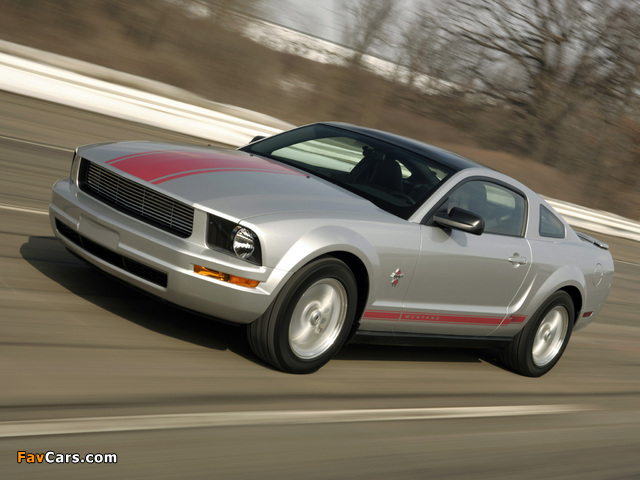 Mustang Coupe Warriors in Pink 2008 images (640 x 480)