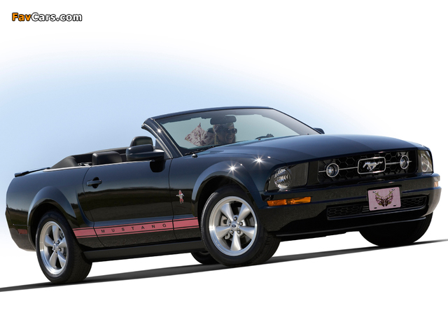 Mustang Convertible Warriors in Pink 2008 images (640 x 480)