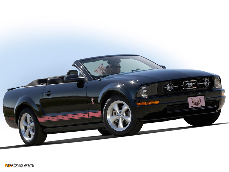 Mustang Convertible Warriors in Pink 2008 images (800 x 600)
