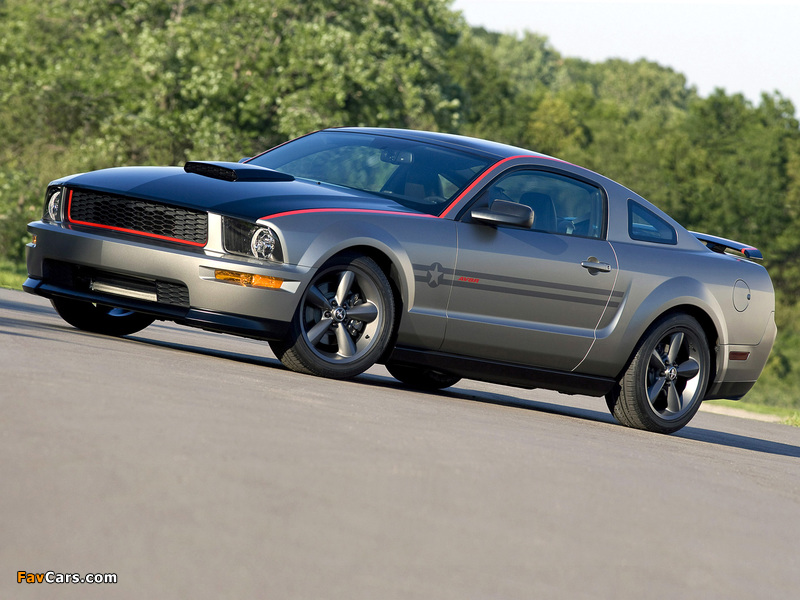 Mustang AV8R 2008 photos (800 x 600)