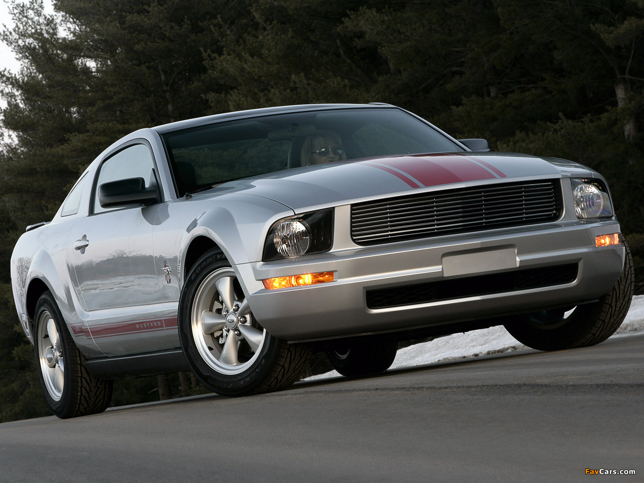 Mustang Coupe Warriors in Pink 2008 photos (1280 x 960)