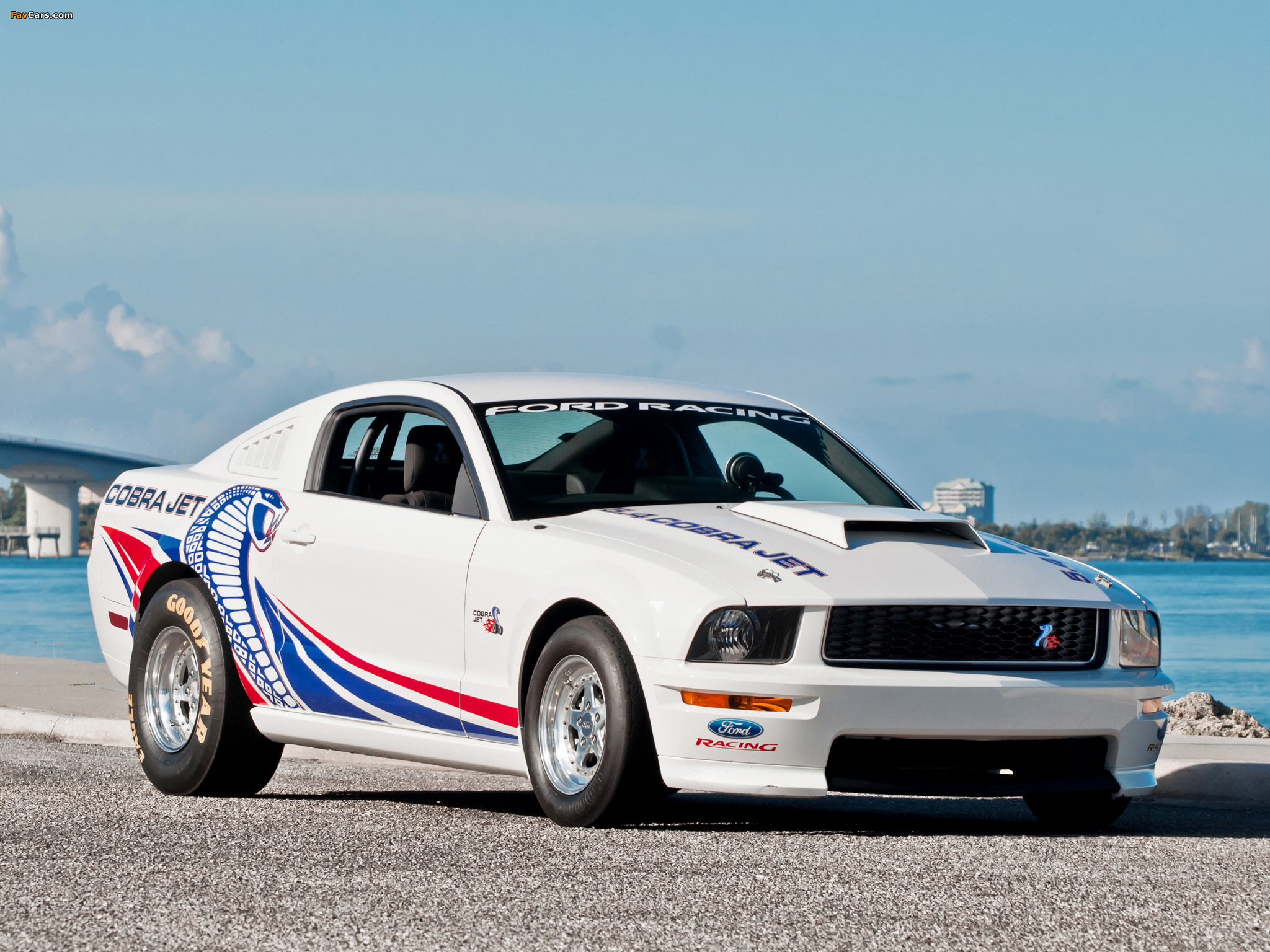 Mustang FR500CJ Cobra Jet 2008–09 photos (2048 x 1536)