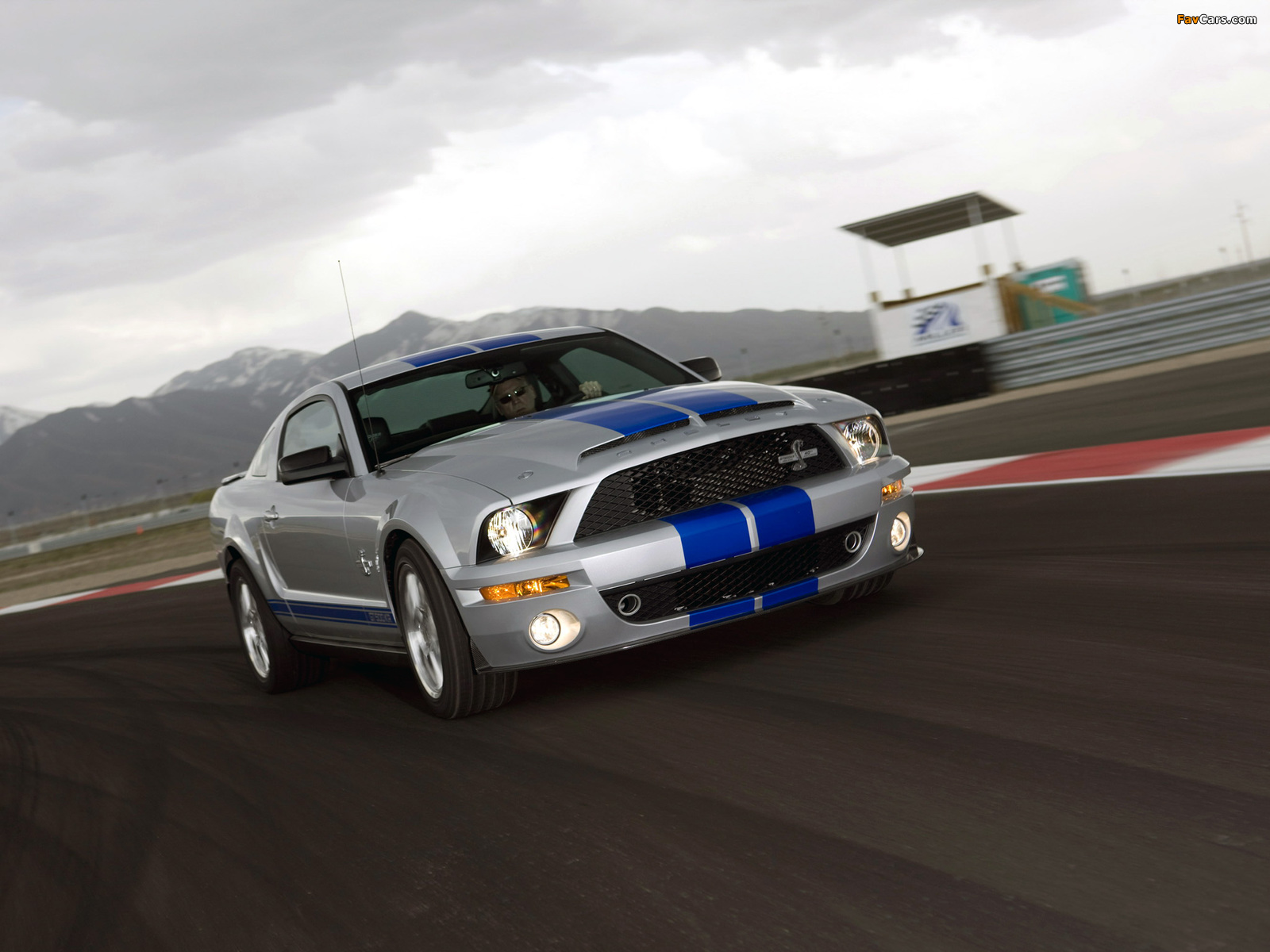 Shelby GT500 KR 40th Anniversary 2008 pictures (1600 x 1200)