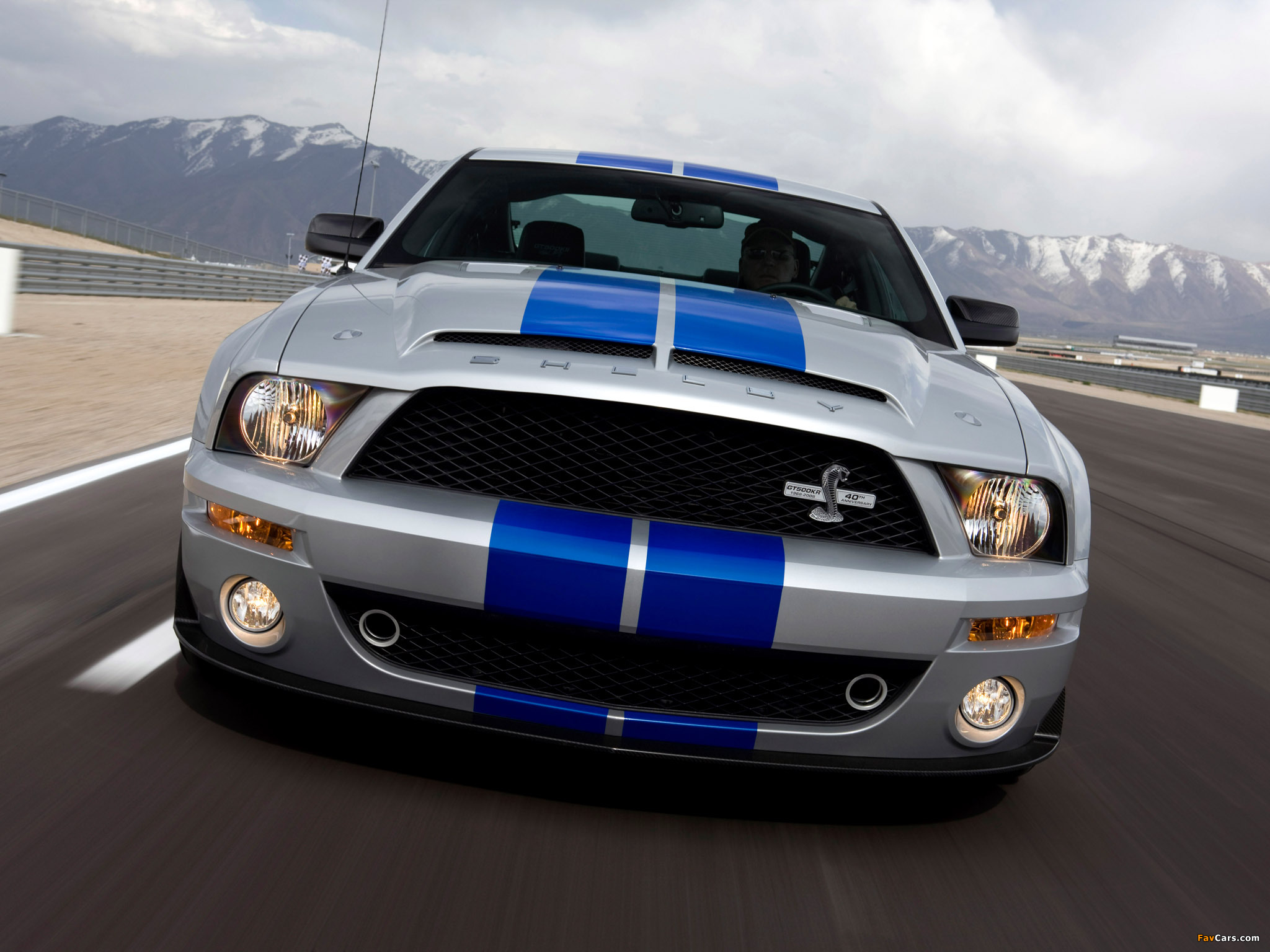 Shelby GT500 KR 40th Anniversary 2008 pictures (2048 x 1536)