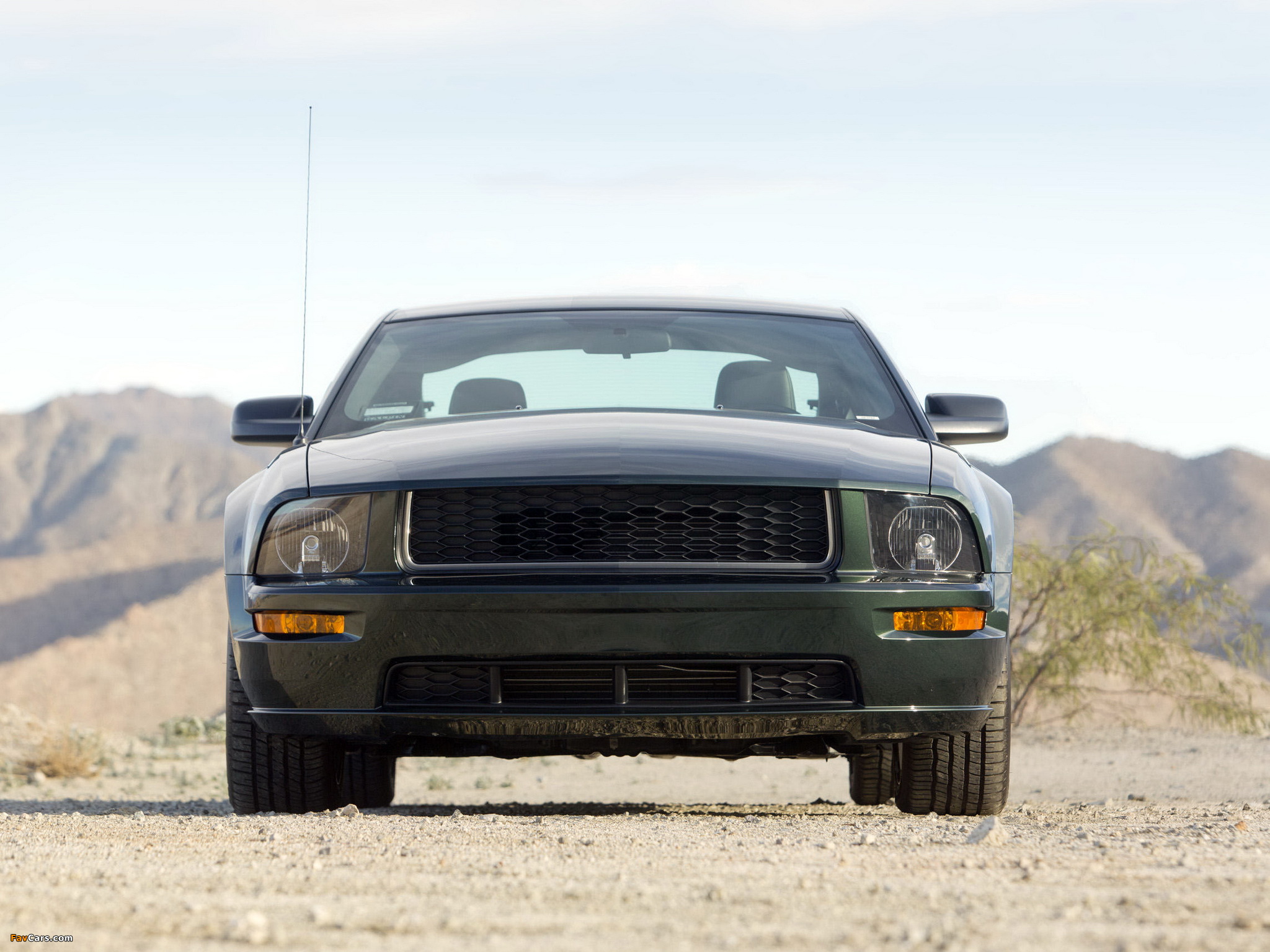 Mustang Bullitt 2008 wallpapers (2048 x 1536)