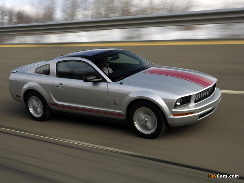 Mustang Coupe Warriors in Pink 2008 wallpapers (800 x 600)