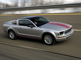 Mustang Coupe Warriors in Pink 2008 wallpapers