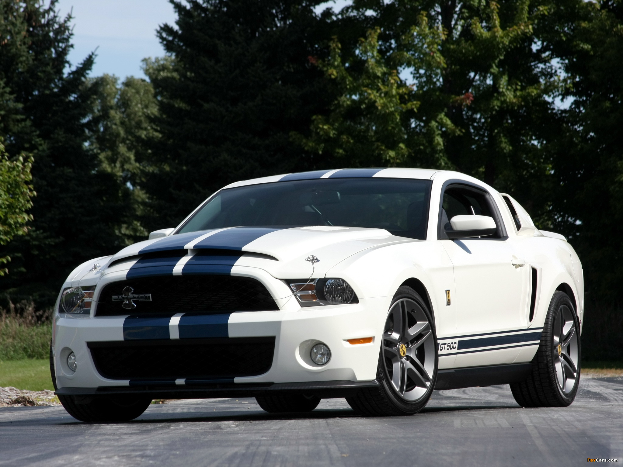 Shelby GT500 Patriot Edition 2009 images (2048 x 1536)