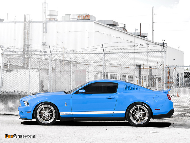 Shelby GT500 2009–10 photos (640 x 480)