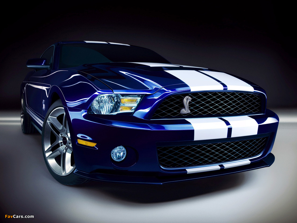 Shelby GT500 2009–10 wallpapers (1024 x 768)