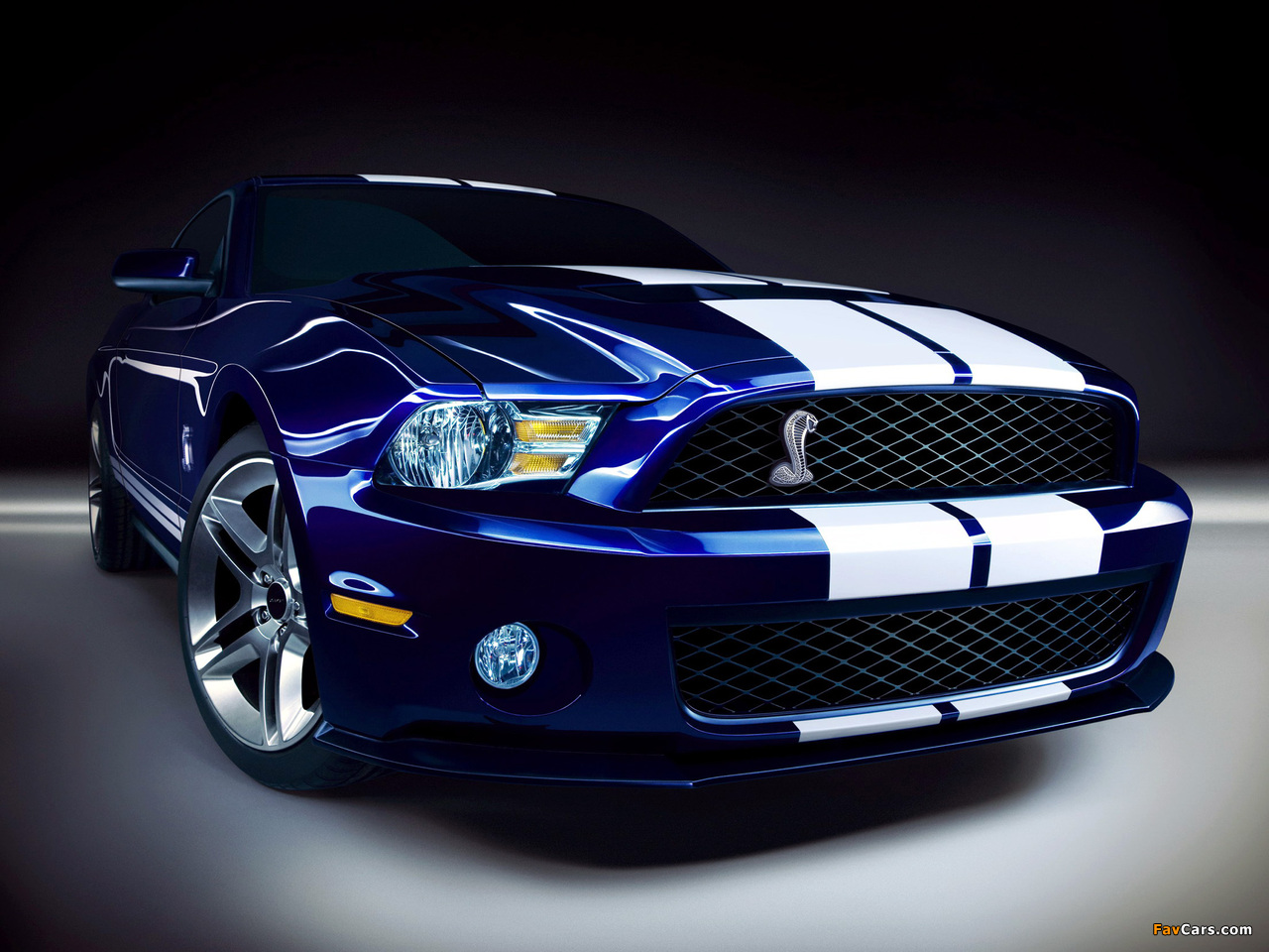 Shelby GT500 2009–10 wallpapers (1280 x 960)