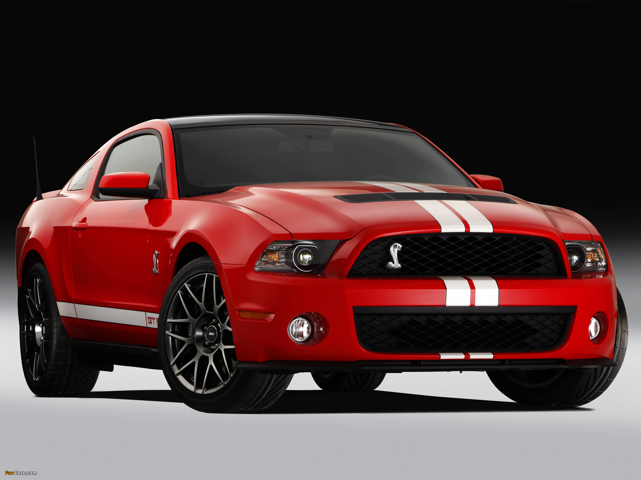 Shelby GT500 SVT 2010–12 images (2048 x 1536)
