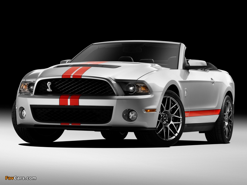 Shelby GT500 SVT Convertible 2010–11 images (800 x 600)