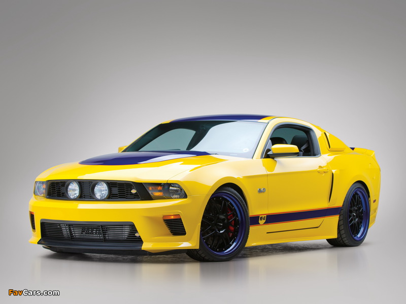 Mustang WD-40 Concept 2010 images (800 x 600)