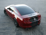 Shelby GT350 2010 images