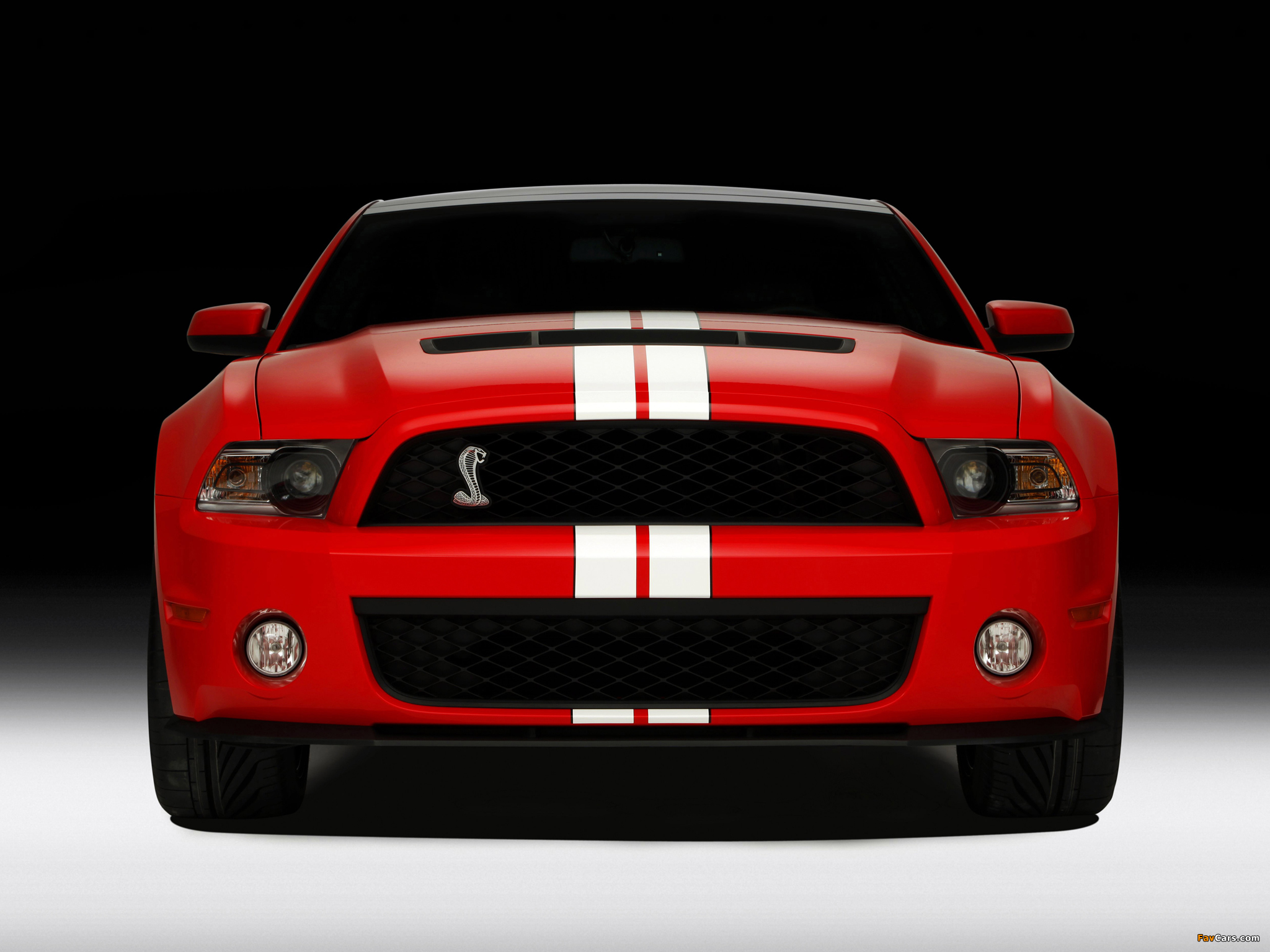 Shelby GT500 SVT 2010–12 photos (2048 x 1536)