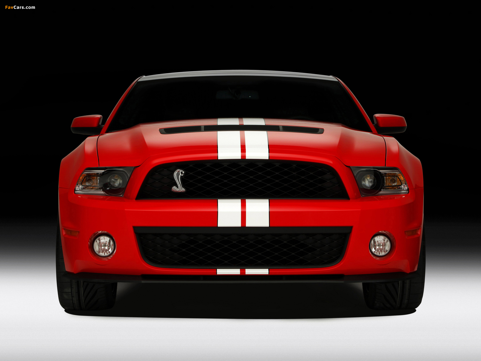 Shelby GT500 SVT 2010–12 photos (1600 x 1200)