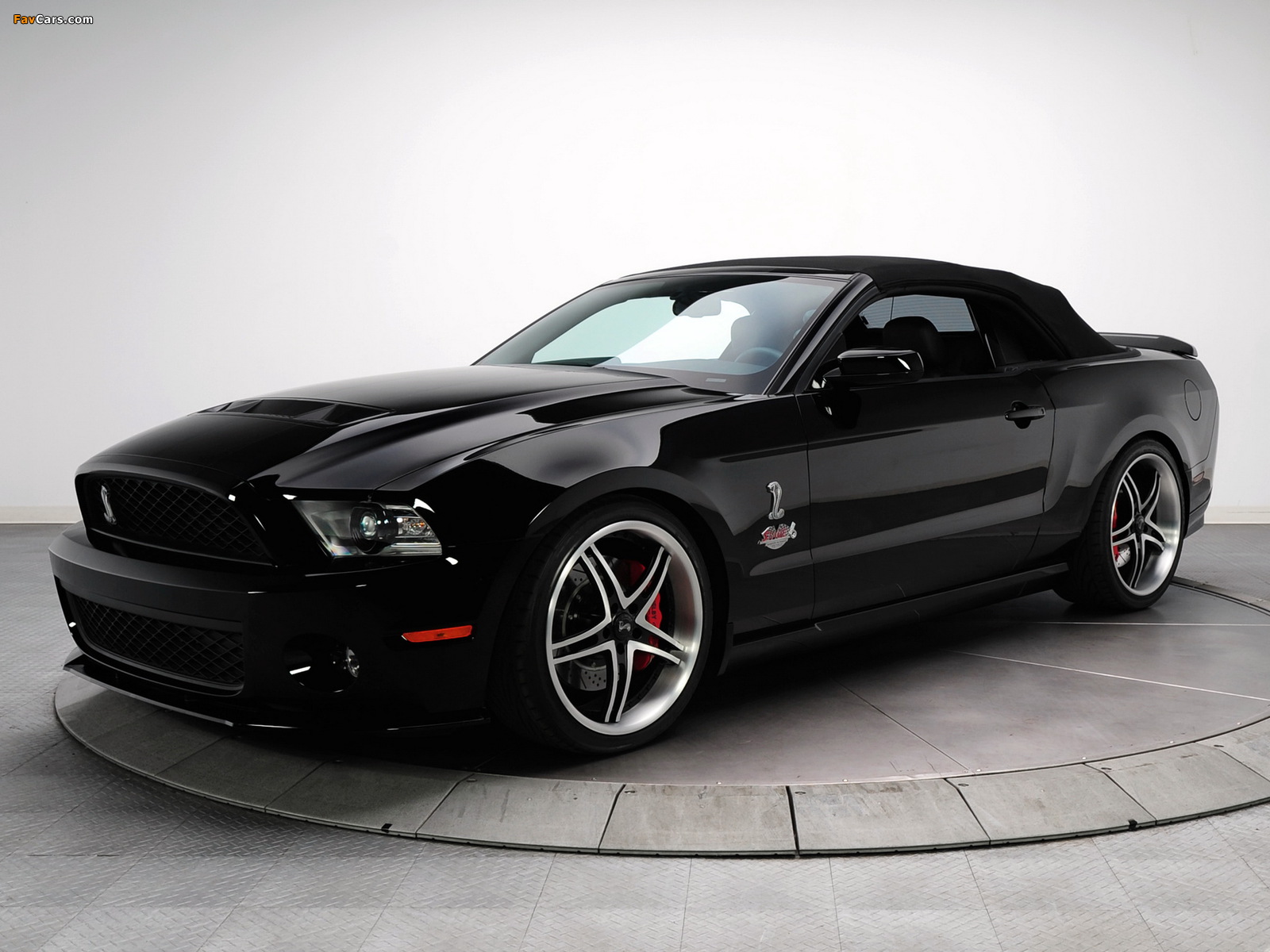 Shelby GT500 Evolution Performance Stage 6 2010 photos (1600 x 1200)