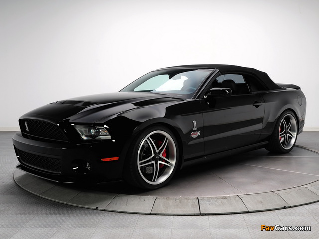 Shelby GT500 Evolution Performance Stage 6 2010 photos (640 x 480)
