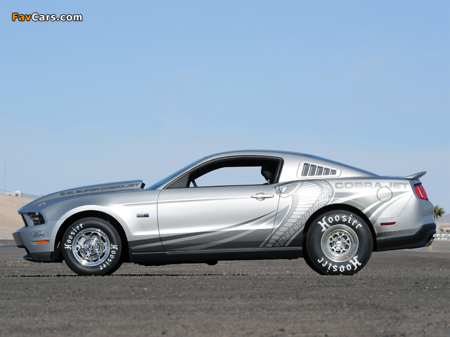 Mustang FR500CJ Cobra Jet 2010 photos (640 x 480)