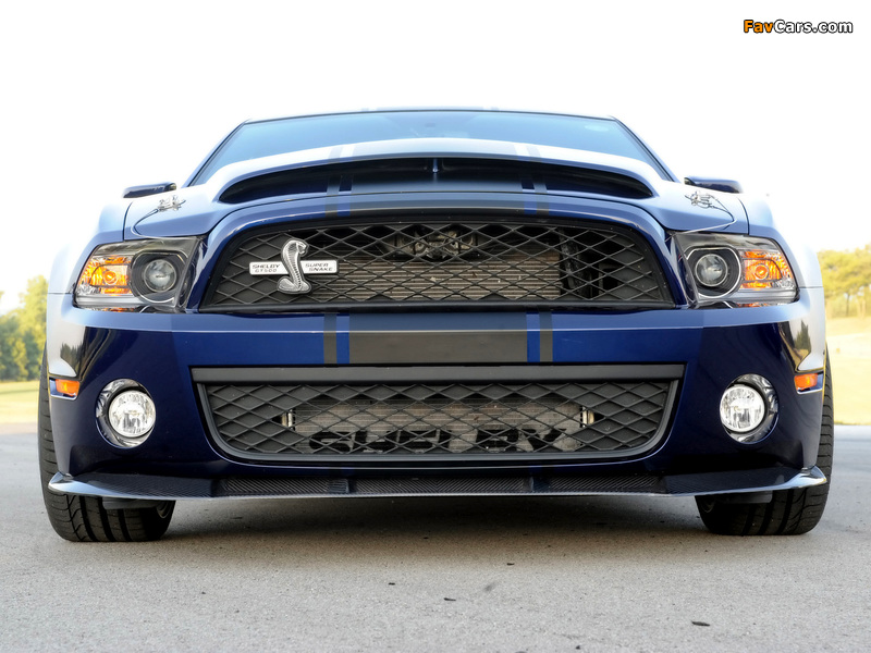 Shelby GT500 Super Snake 2010–11 photos (800 x 600)