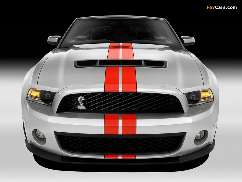 Shelby GT500 SVT Convertible 2010–11 wallpapers (800 x 600)