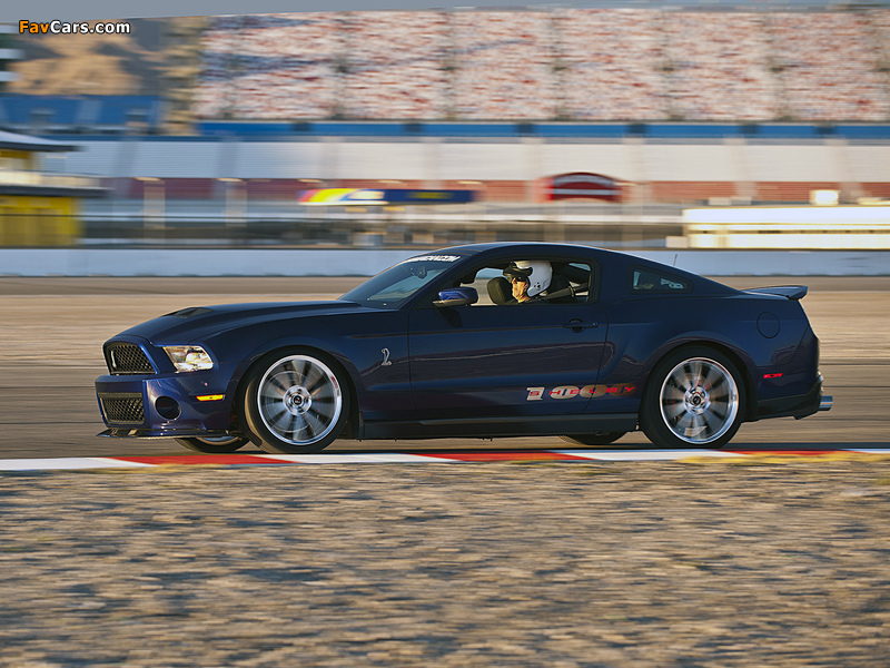 Shelby 1000 2012 images (800 x 600)