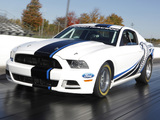 Ford Mustang Cobra Jet Twin-Turbo Concept 2012 images