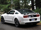 Mustang 5.0 GT California Special Package 2012 images