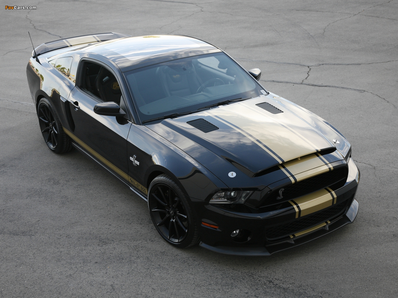 Shelby GT500 Super Snake 50th Anniversary 2012 photos (1280 x 960)
