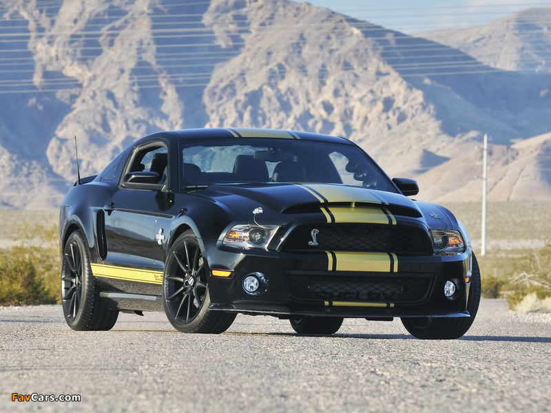 Shelby GT500 Super Snake 50th Anniversary 2012 photos (800 x 600)