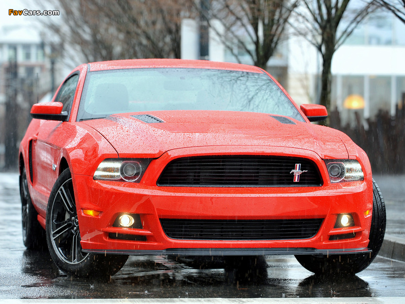 Mustang 5.0 GT California Special Package 2012 pictures (800 x 600)