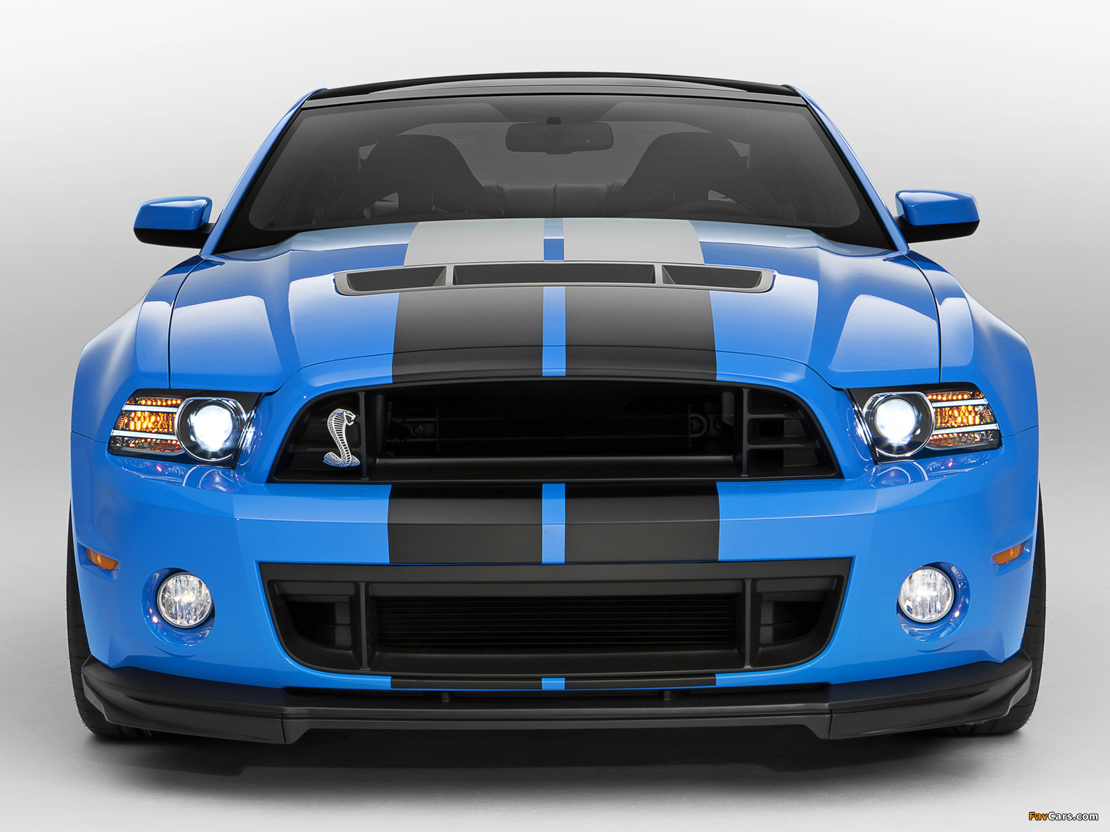 Shelby GT500 SVT 2012 pictures (1600 x 1200)