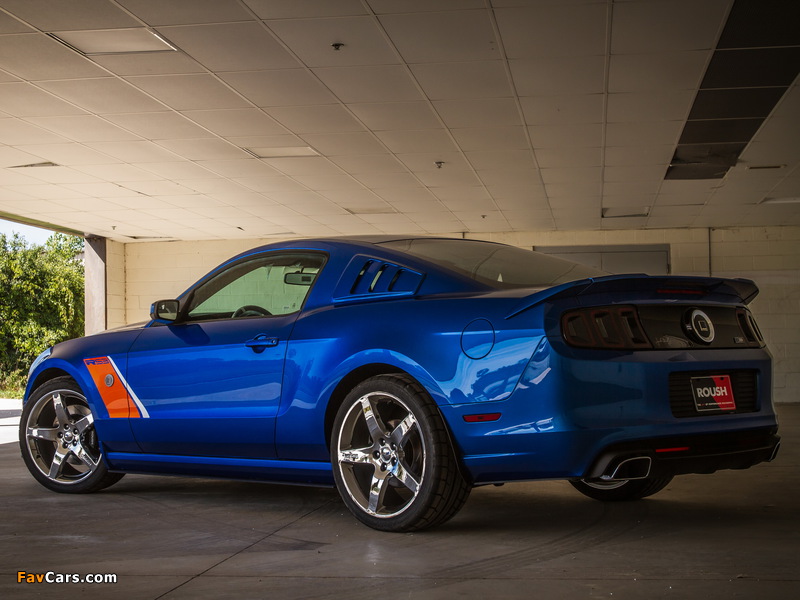 Roush Stage 3 2013 photos (800 x 600)