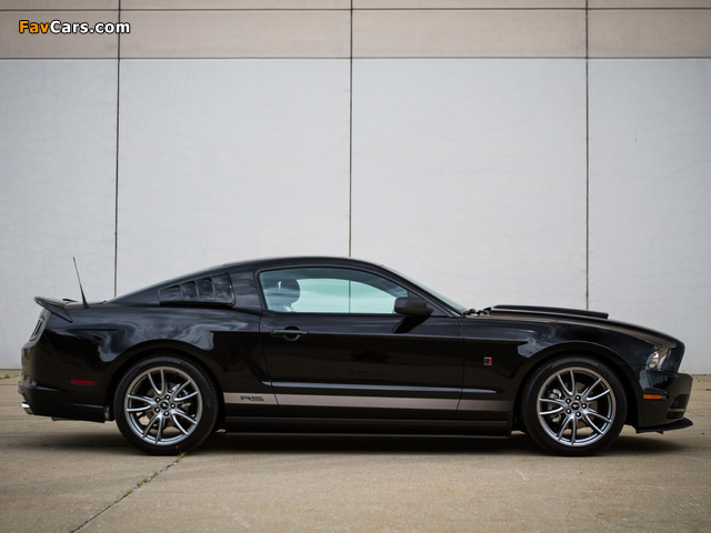 Roush RS 2013 pictures (640 x 480)