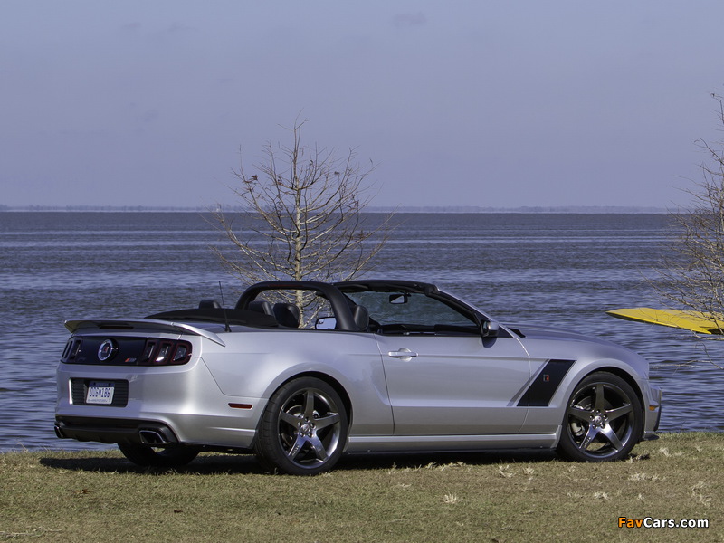 Roush Stage 3 Convertible 2013 pictures (800 x 600)